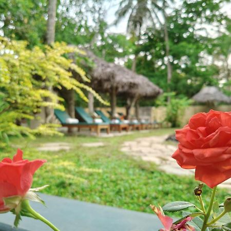 Marari Beach Bungalow Resort Alleppey Mararikulam Exteriér fotografie