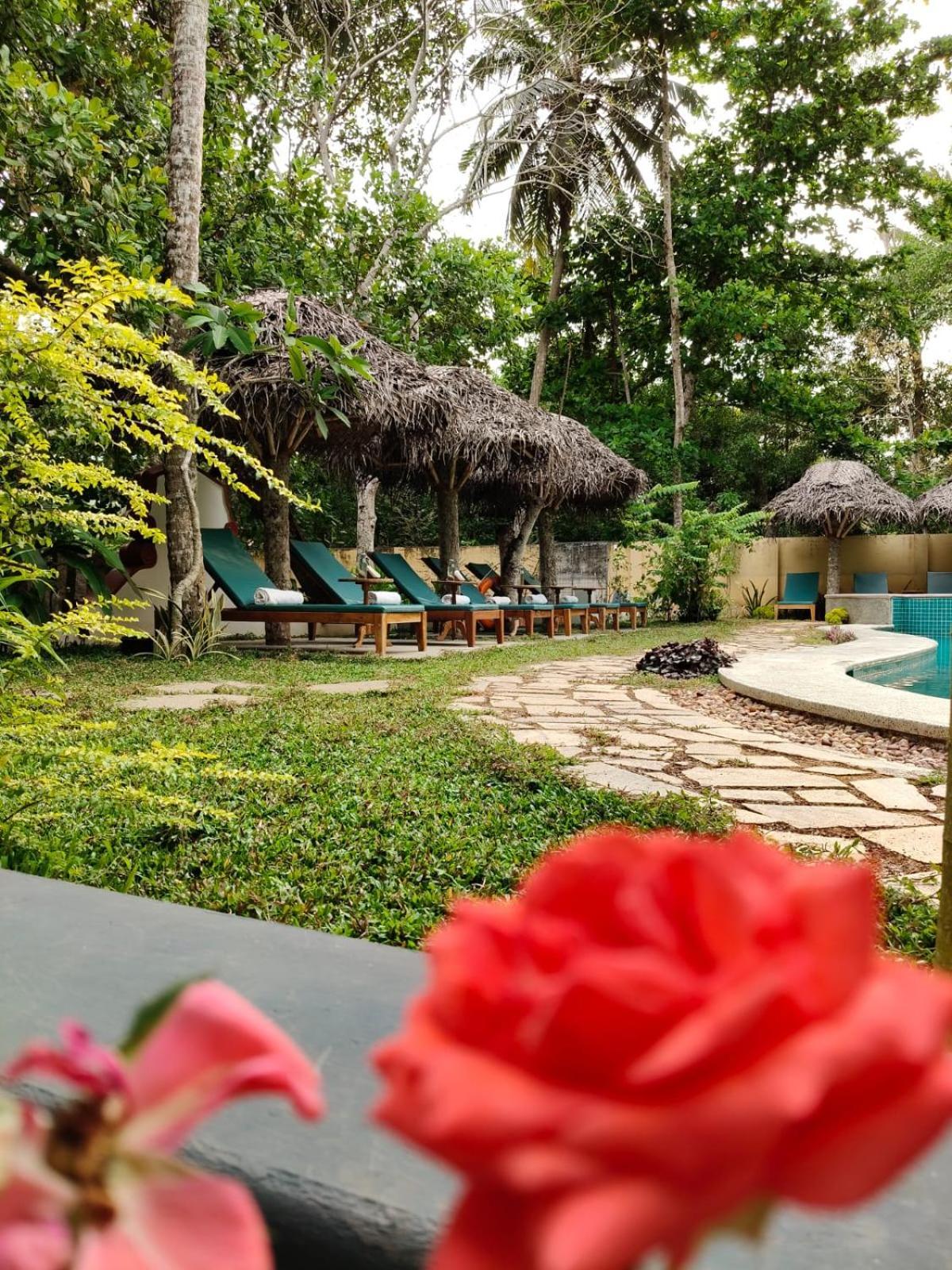 Marari Beach Bungalow Resort Alleppey Mararikulam Exteriér fotografie